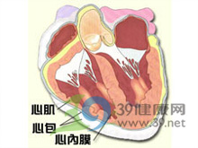 指或趾甲下裂片状出血